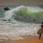 Is Sarasota A Good Place To Live?