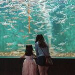 Is the Cincinnati Zoo or Newport Aquarium better?