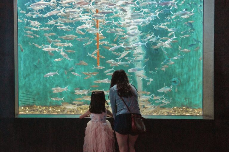 Is the Cincinnati Zoo or Newport Aquarium better?