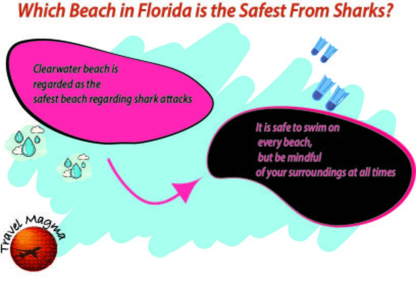 Which Beach in Florida is the Safest From Sharks?