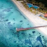 Where Are Sharks Most Active in Florida?