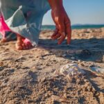 Where Can You Find Sand Dollars in Florida?