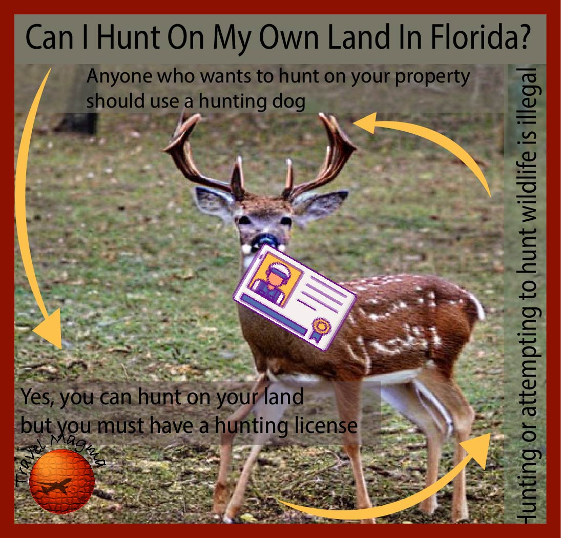 Can I Hunt on My Own Land in Florida?