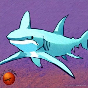 Are There Sharks in the St. Johns River?