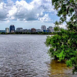 Are There Sharks in the St. Johns River?