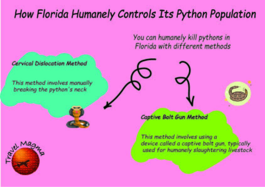 Why Don't They Shoot the Pythons in Florida?