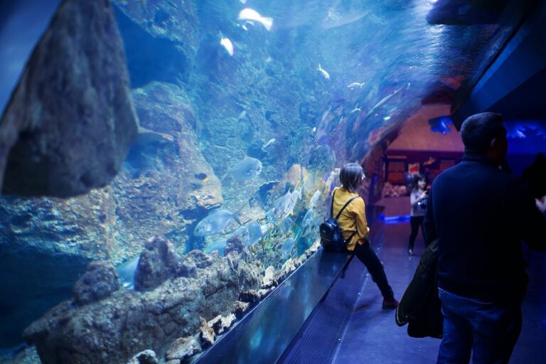 Does Cincinnati Have an Aquarium?