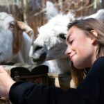 How Popular is the Cincinnati Zoo?