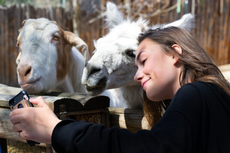 How Popular is the Cincinnati Zoo?