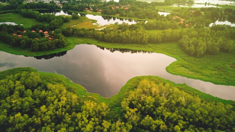Is There a Bayou in Florida?