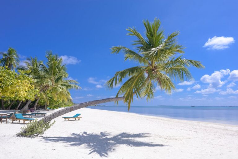 What Part of Florida is Most Tropical?