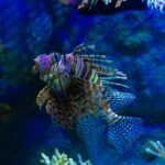 What is the Largest Aquarium in Ohio?