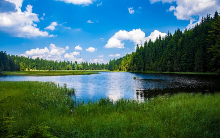 Which State Has the Most Polluted Lakes?