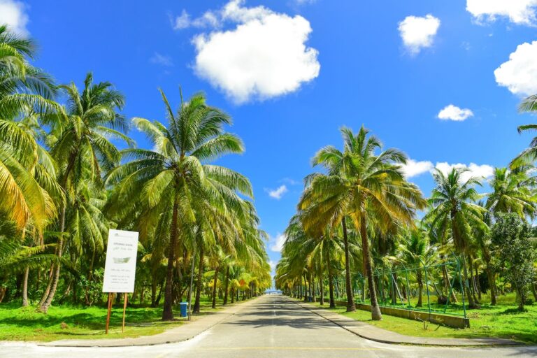 Which Is the Largest English-Speaking Caribbean Country? (Three Answers)