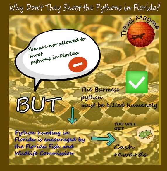 Why Don't They Shoot the Pythons in Florida?