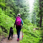 10 Best Places to Hike in Bastrop County, Texas