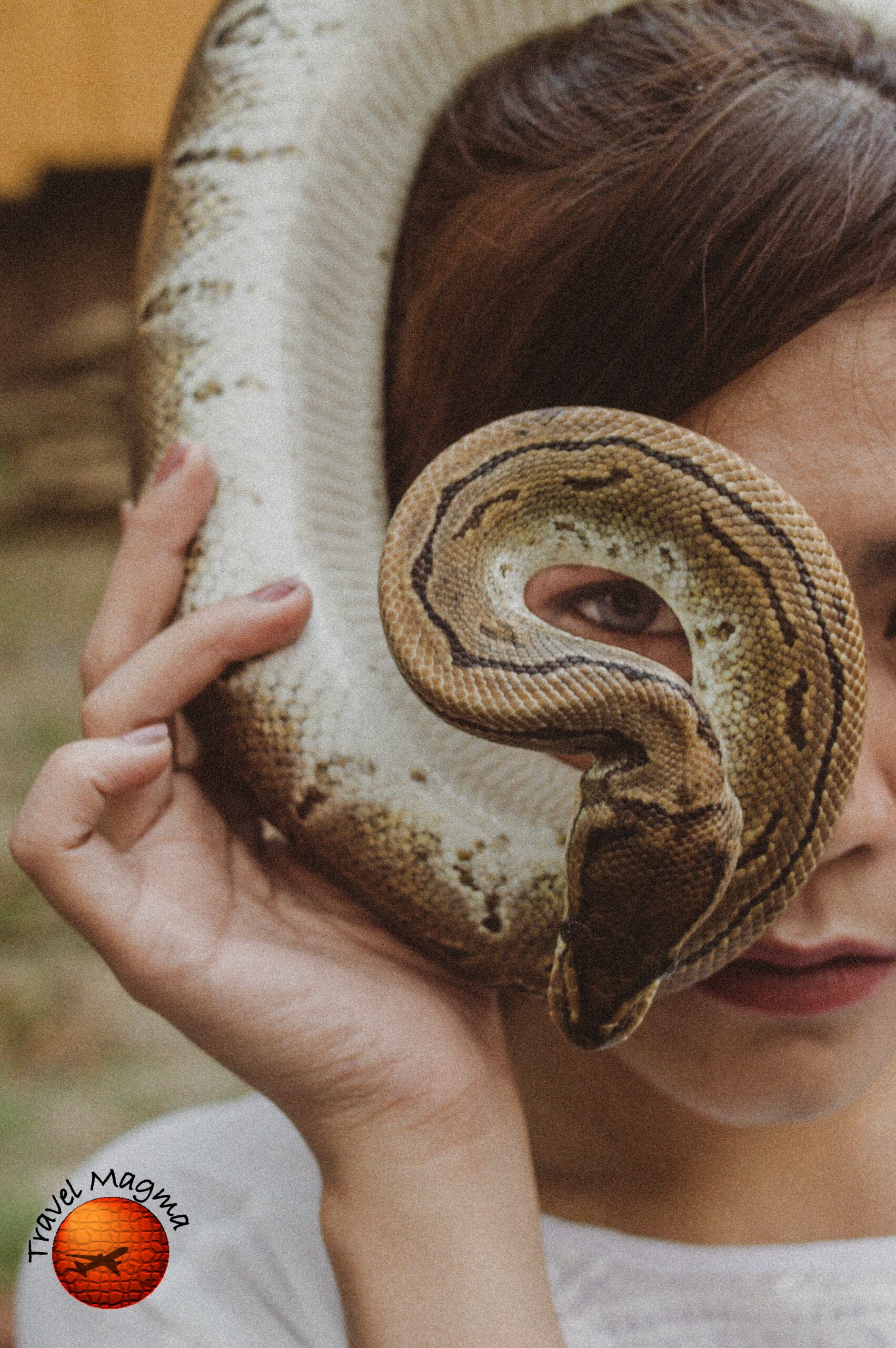 Why Don't They Shoot the Pythons in Florida?