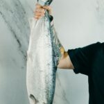 What is the Largest Fish in Lake Erie?