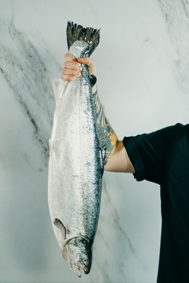 What is the Largest Fish in Lake Erie?