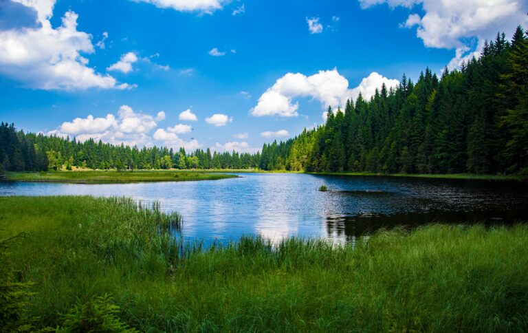 What are the Five Largest Lakes in Ohio?