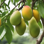 Mango Titans: Top 5+ Mango-Producing Nations