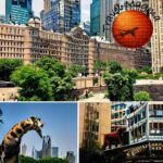 Is Tampa Worth Visiting?