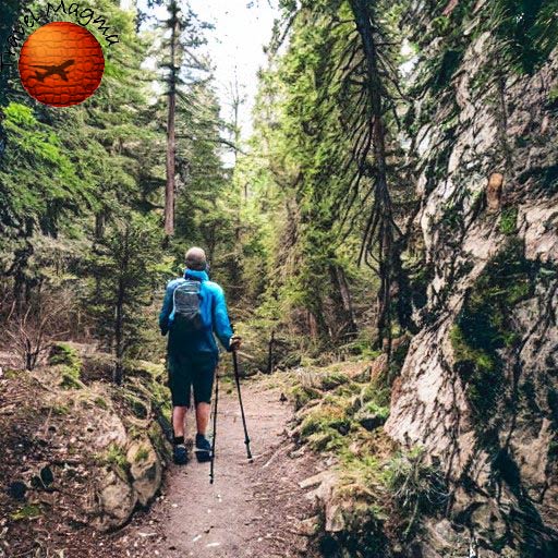 The 5 Best Camino de Santiago Apps