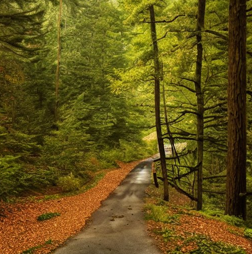 Is Gatlinburg Worth Visiting?