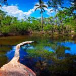 Can You Drive Through Everglades National Park?