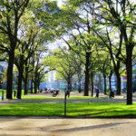 How Many Metro Parks Are in Columbus Ohio?