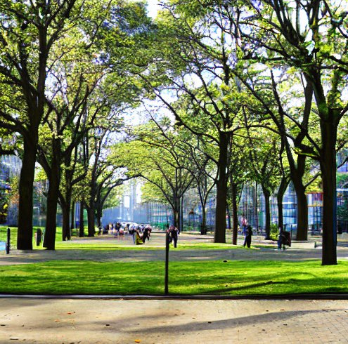 How Many Metro Parks Are in Columbus Ohio?