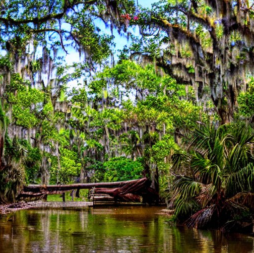 Can You Drive Through Everglades National Park?