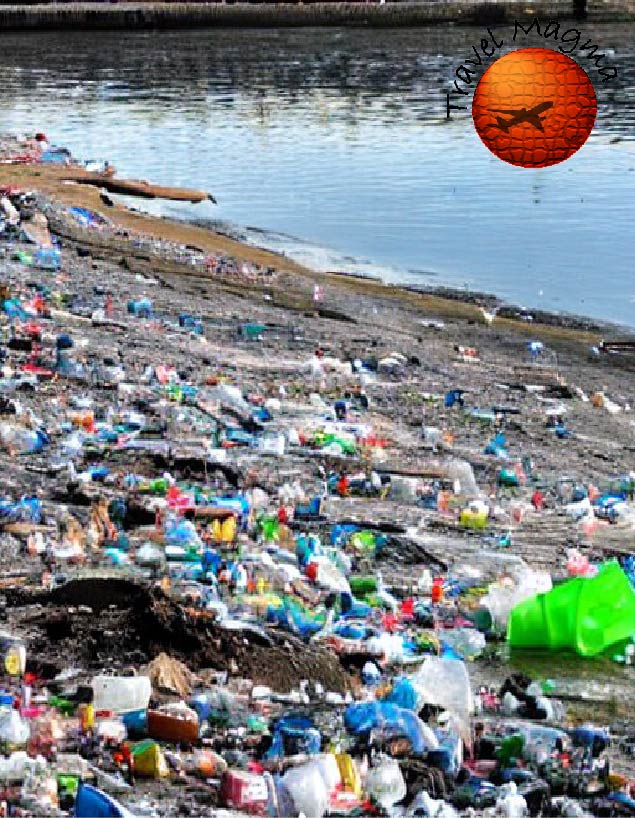 Why is Biscayne Bay Important?