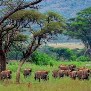 famous places in harare