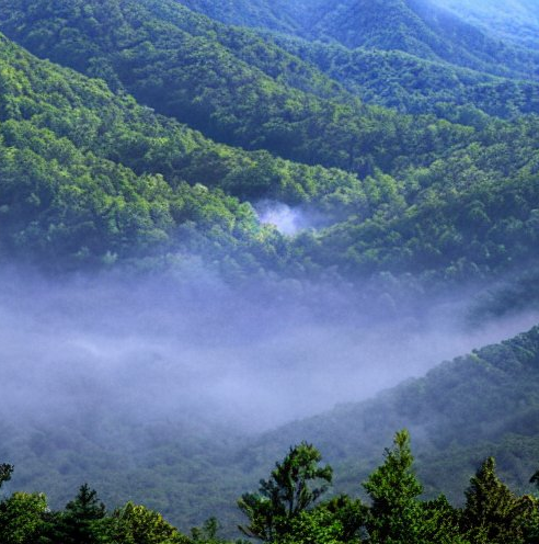 Is Gatlinburg Worth Visiting?