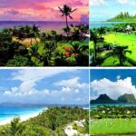 Island Showdown: Mauritius Vs Bali