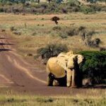 10+ Famous Places in Harare: Zimbabwe