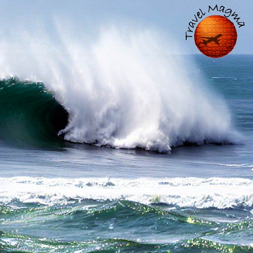 Beach Bumming in Paradise: The Top Florida Beaches for Sun, Surf, and Sand 