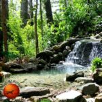 Head-to-Head Showdown: Blue Springs vs Ginnie Springs