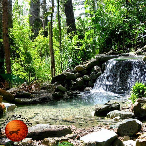 Head-to-Head Showdown: Blue Springs vs Ginnie Springs