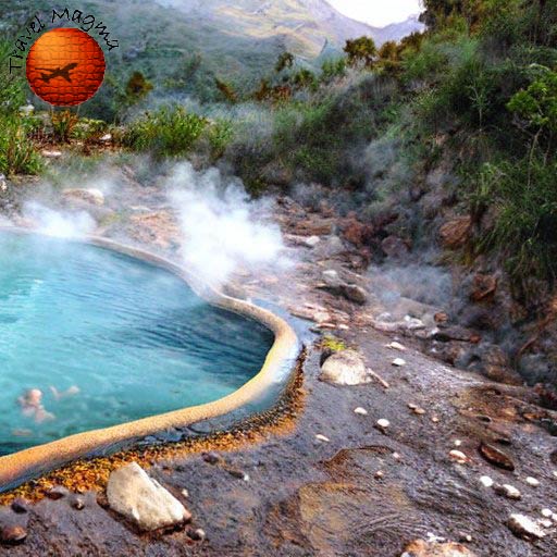 Dive into Paradise: Discovering Florida's Top Swimming Springs