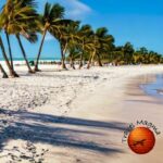 Beach Bumming in Paradise: The Top Florida Beaches for Sun, Surf, and Sand 