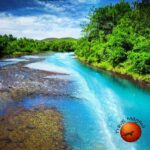 Exposing the Clearest Springs in Florida