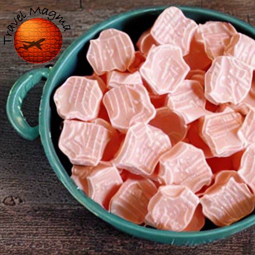 10 Unique Florida Souvenirs That Capture the State's Spirit