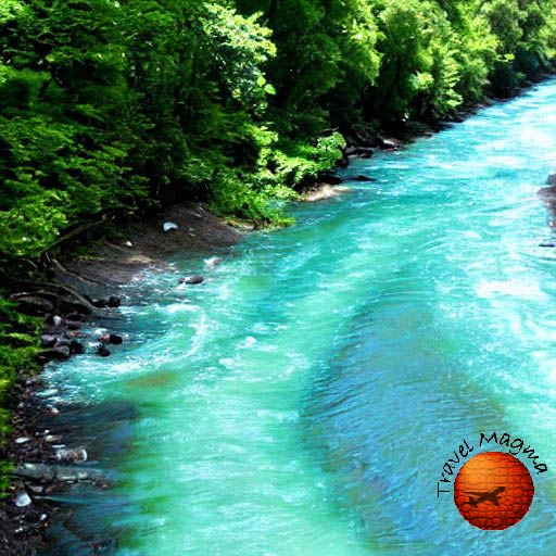 The Crystal Clear Champion: Uncovering Florida's Purest River