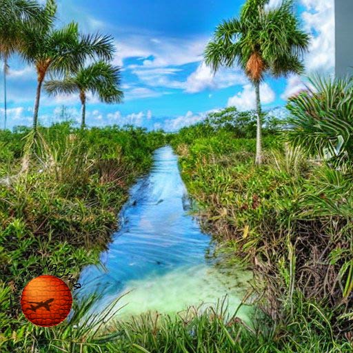 Secrets of the Sunshine State: Florida's Hidden Gems for a One-of-a-Kind Vacation