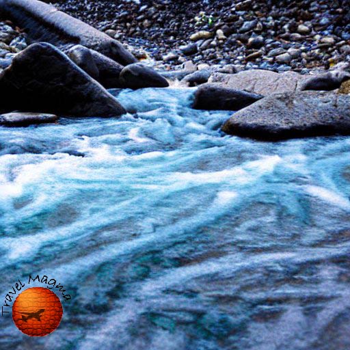 The Crystal Clear Champion: Uncovering Florida's Purest River