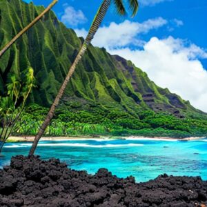 Best Airlines to Fly to Hawaii