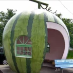 10+ Most Unique Bus Stops Around The World