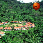 Hog Island Escape: Honduras' Beach Getaway